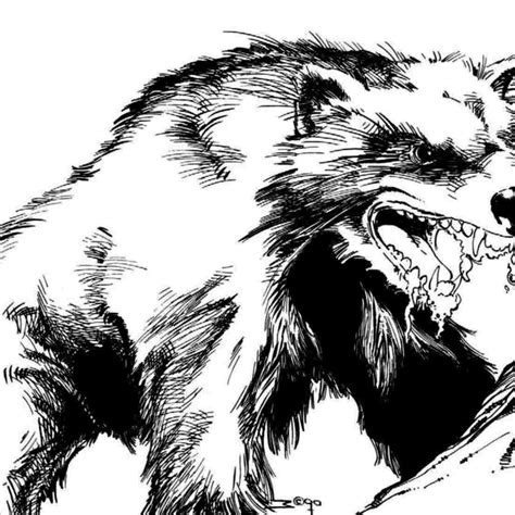 wolverine animal drawing